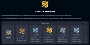 RocketPlay Loyalty Program